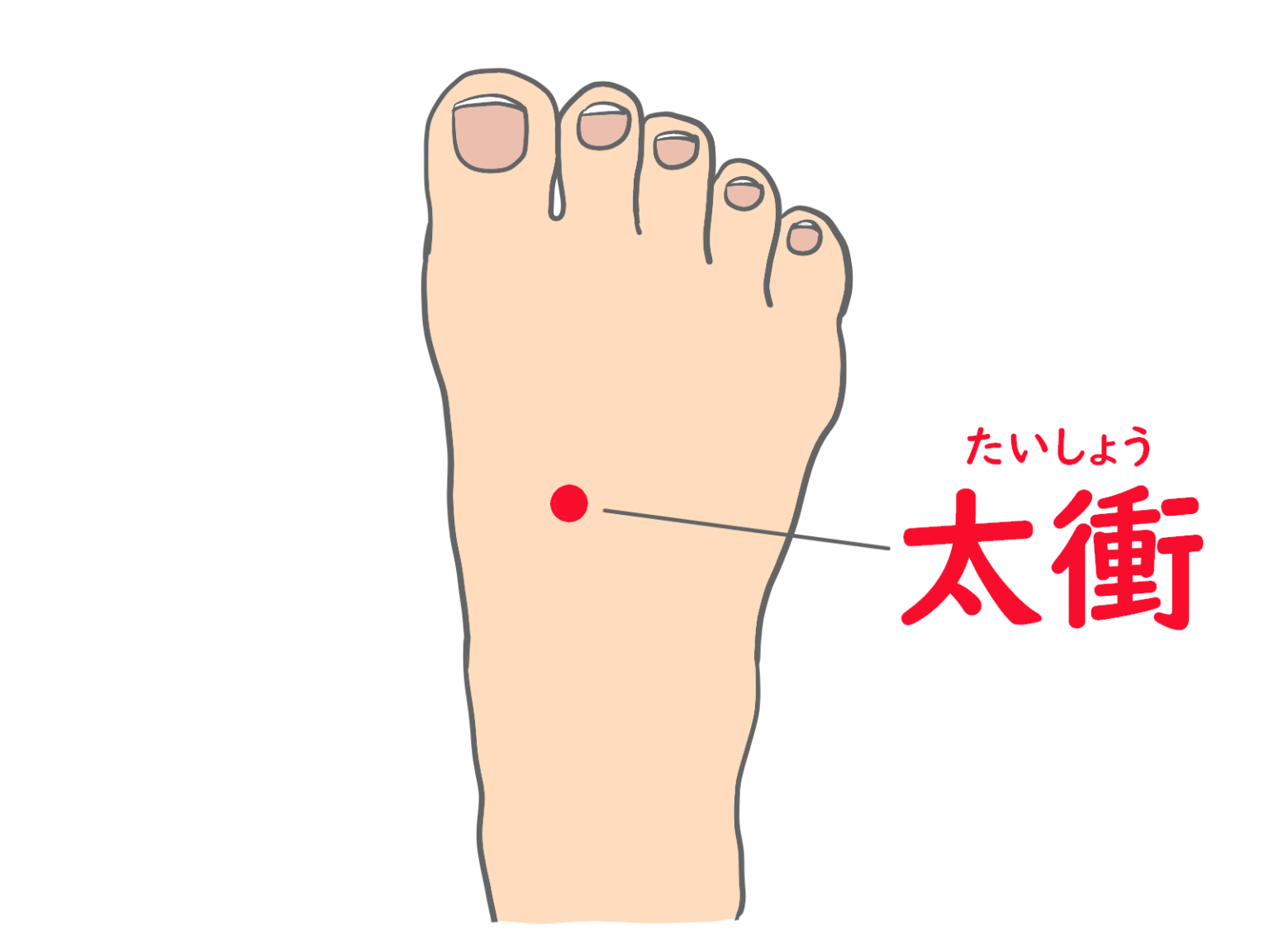 生理が来るツボとは?効果が期待できるツボ5選を紹介 | ミライメディカルクリニック|全国対応オンライン診療専門クリニック
