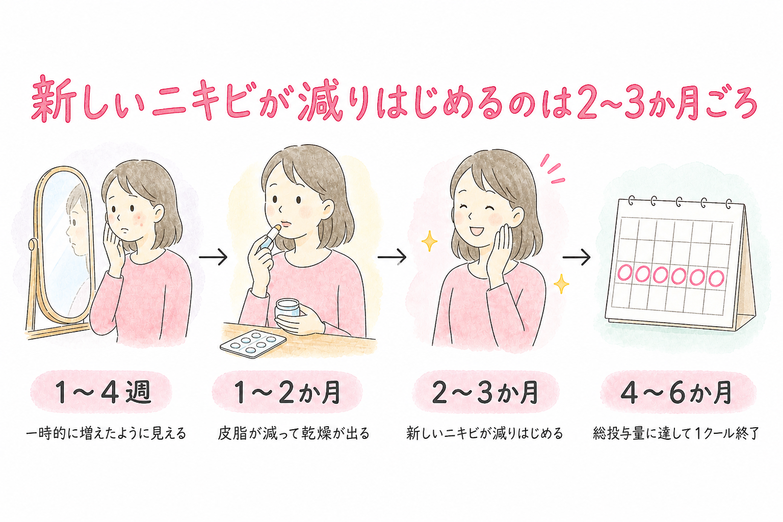 1〜4週は一時的に増えたように見え、1〜2か月で皮脂が減って乾燥が出て、2〜3か月で新しいニキビが減りはじめ、4〜6か月で1クール終了